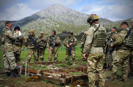 Stërvitja “Strong Eagle”, Shqipëria bashkëpunon me Mbretërinë e Bashkuar në fushën e mbrojtjes