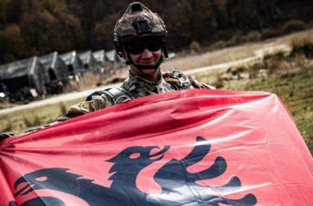 ​15 vjet nga hyrja e Shqipërisë në NATO