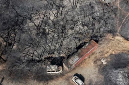 Evropa po piqet në “stresin ekstrem të nxehtësisë” duke i shtyrë temperaturat në nivele rekord