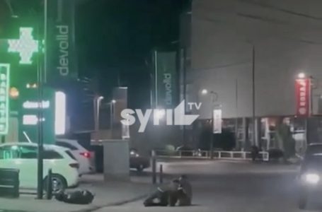 Tre të plagosur nga gjuajtja me armë zjarri në Pejë