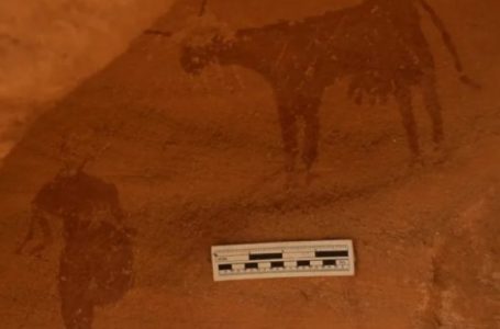 Vizatimet në Sahara zbulojnë se ishte një vend rrënjësisht i ndryshëm 4000 vjet më parë