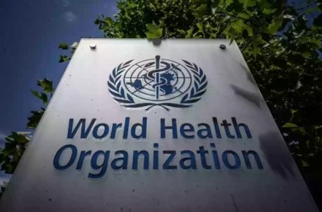 OBSH: Gripi i shpendëve mund të infektojë bagëtitë në vende të tjera