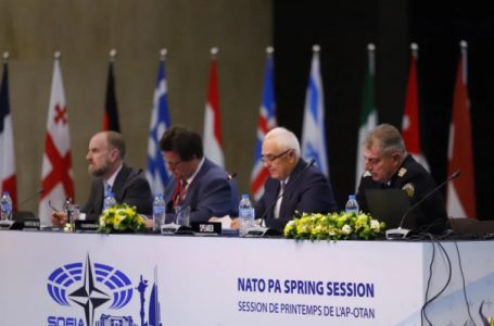 Në Sofje vazhdon mbledhja e AP-së të NATO-s, Kosova nesër në agjendë