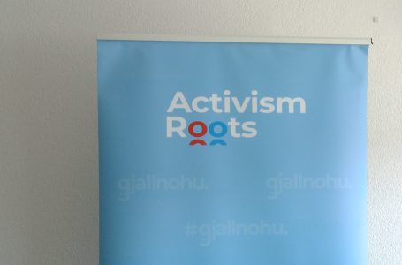 Activism Roots me iniciativë për Qendër Rinore