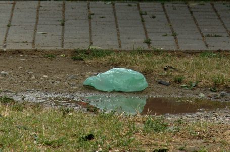 “Qeset e plastikës janë shkatërrueset e mjedisit tonë”