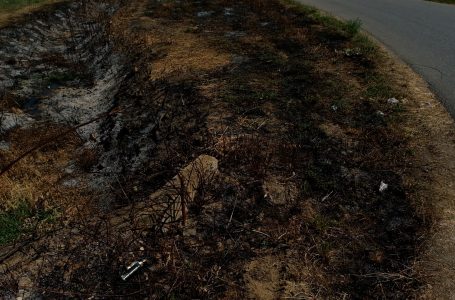 Mbi tetëdhjetë vatra të zjarreve nga fillimi i muajit korrik në Gjakovë