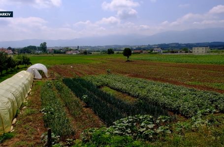 Hajdari: Në shtator pritet ndërtimi i digave të ujitjes në Ponoshec e Brovinë