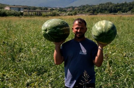 Fitim Ahmeti, bujku që profesionin e trashëgoi nga familja