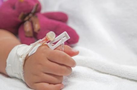 E infektuar me parvovirus, humb jetën 2-vjeçarja
