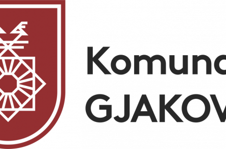 Dokumenti i ankesave për verifikimin paraprak – Grupi i Arsimit