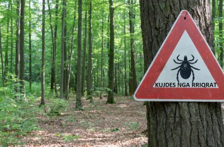385 raste të pickimit nga rriqrat gjatë pesë muajve
