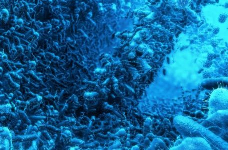 Autizmi mund të diagnostikohet me mostra të fecesit, thonë shkencëtarët