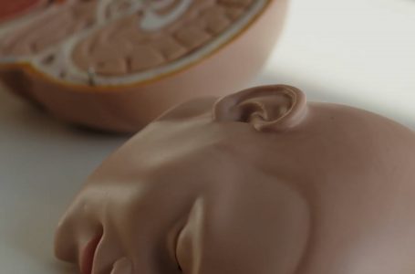 Dr.Zajmi : Motori i trupit është truri