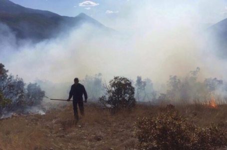 Kosova në flakë, rreth 300 raste zjarresh në pesë ditë