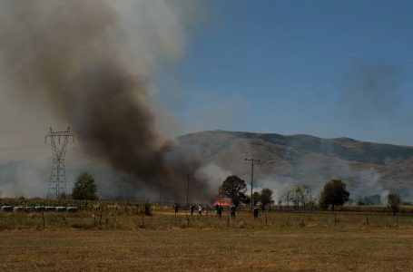 Ministria e Bujqësisë: Situata me zjarret në Kosovë është shqetësuese