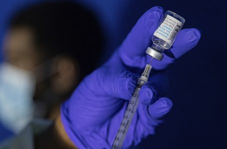 CDC Evropiane ngre nivelin e alarmit për rrezikun e lisë majmunëve
