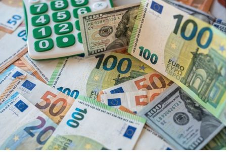 Monedha euro del fituese nga trazirat e tregut