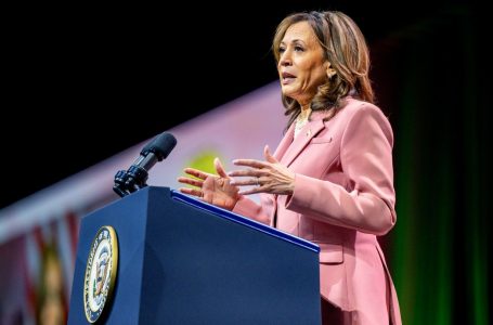 Kamala Harris ka në dorë një grup votuesish ende të paaktivizuar