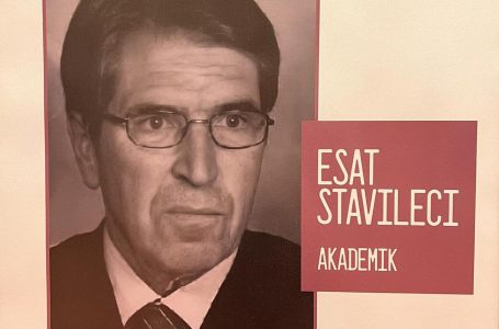 ​Nëntë vjet nga vdekja e akademik Esat Stavilevci