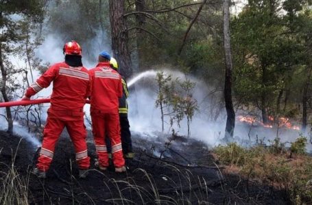 Gjashtë vatra zjarri aktive në Shqipëri