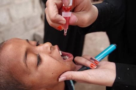 1.2 milionë doza vaksine kundër poliomielitit janë dorëzuar në Gaza përpara fushatës së 1 shtatorit, thotë OBSH