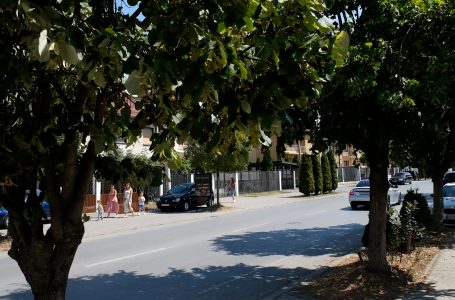 Alergjitë e pranverës po zgjasin edhe në verë