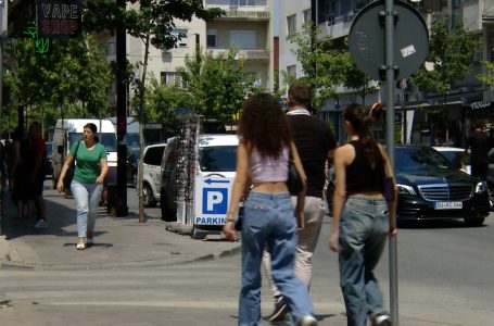 Shumë bashkatdhetarë kanë ardhë për vizitë në vendlindje