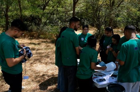 “Roma in Action” shënon Ditën e Rinisë