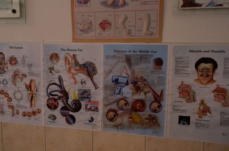 Infeksionet dhe sëmundjet e veshit gjatë stinës së verës