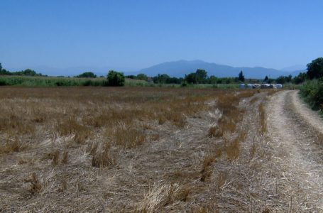 Banorët e fshatit Planqor ankohen për vështirësi në ujitjen e tokave bujqësore