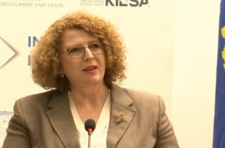 Gjashtë ndërmarrje përfitojnë fonde për fuqizim digjital nga MINT-i