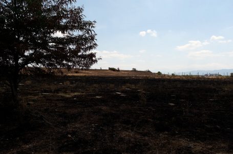 “Zjarrvënia e qëllimshme duhet të ndiqet ligjërisht”