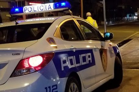 Vrasja e dyfishtë në Velipojë, policia arreston 2 persona