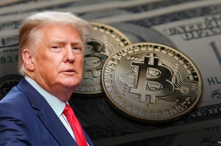I cilësoi mashtrim, por Donald Trump ka 1 milion dollarë pasuri në kriptomonedha