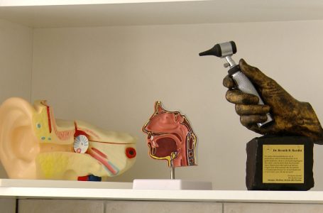Dr. Bardhi: Pishinat, shkaktare të infeksioneve të veshit