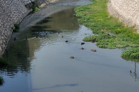 Lumi Krena ka filluar të mbushet me shpezë e peshq, pastrimi luan rol të rëndësishëm