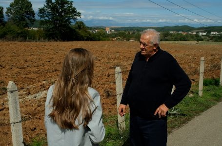 Pas korrjes së të mbjellave verore, fillon përgatitja e tokës për mbjellje vjeshtore