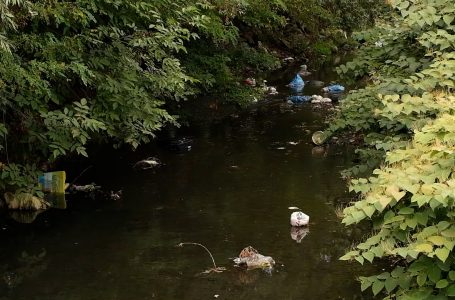 Banorët e rrugës “Sadik Stavileci” kërkojnë zgjidhje për mbeturinat që po hidhen në lumë