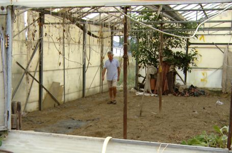 Rrok Frrokaj, bujku nga fshati Planqor që mirret me bujqësi tash e mbi 40 vite