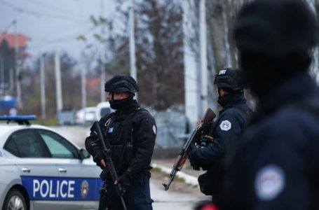 Operacioni “Dritarja”, në pranga të dyshuarit për veprimtari me narkotikë