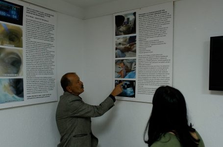 Anesteziologu Beqiri: Profesioni i anesteziologut është sfidues, kërkon shumë përkushtim