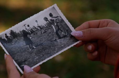 Gjashtë dekada gjelbërim, pyjet e Shkugëzës dhe roli i tyre sot