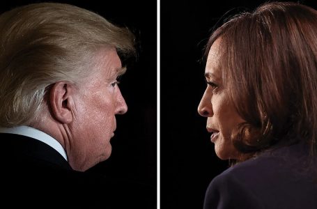 Trump vs Harris: Kush kryeson në sondazhet e zgjedhjeve presidenciale në SHBA?
