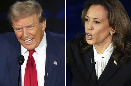Trump apo Harris? Zëvendësuesit e eurodeputetëve marrin anën