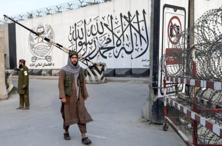 Ministria e moralit në Afganistan përhap ndalimin e imazheve të ‘qenjeve të gjalla’