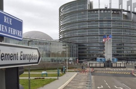 Deputetët e PD-së organizojnë protestë para Parlamentit Evropian në Strasburg