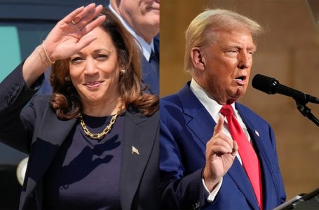 Rezultatet e sondazhit të fundit: Kamala Harris kryeson me 3 për qind ndaj Donald Trump