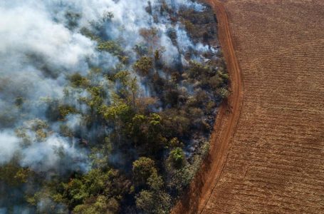 Gati 80% e vendeve dështojnë të dorëzojnë planet për mbrojtjen e natyrës para samitit global
