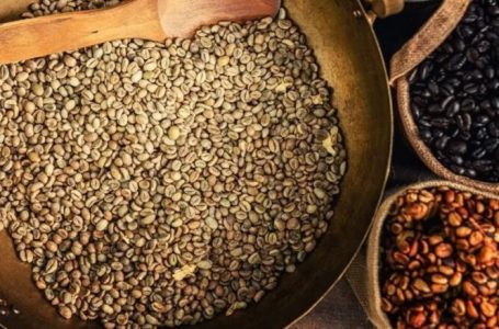 Cilat vende të BE-së prodhojnë dhe importojnë më shumë kafe?