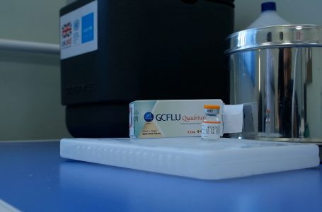 Vaksinimi, mënyrë për t’u mbrojtur nga gripi